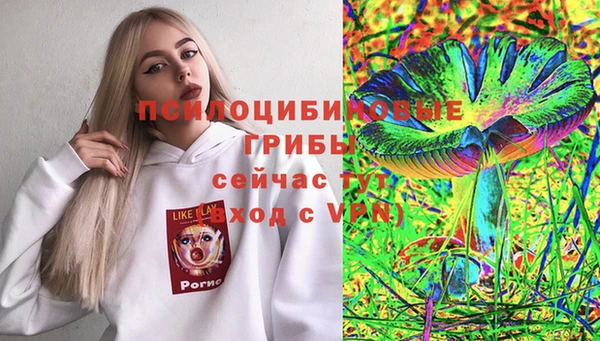 шишки Богородицк